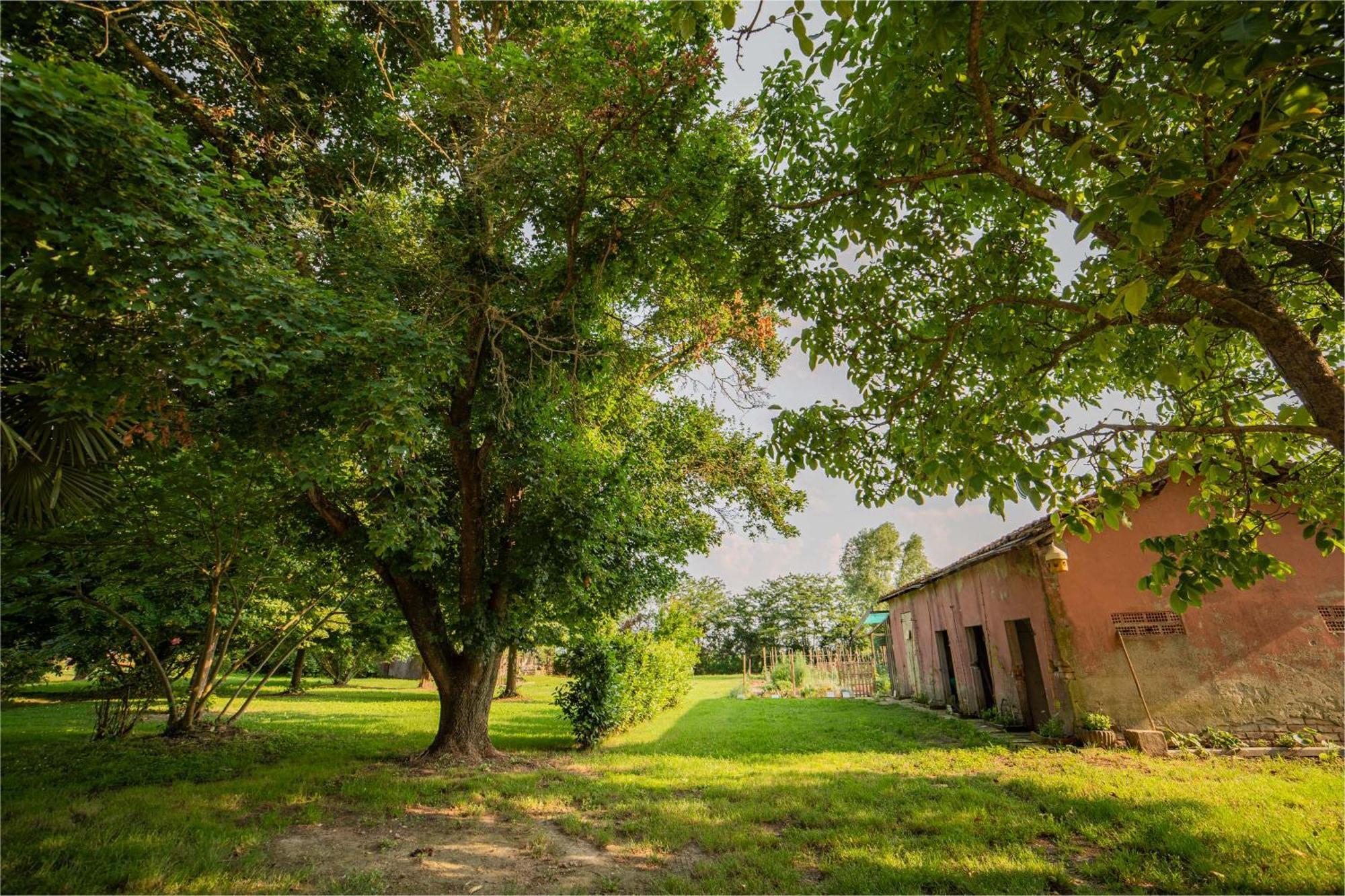 Tenuta Ca' Zen Taglio di Po Exterior foto